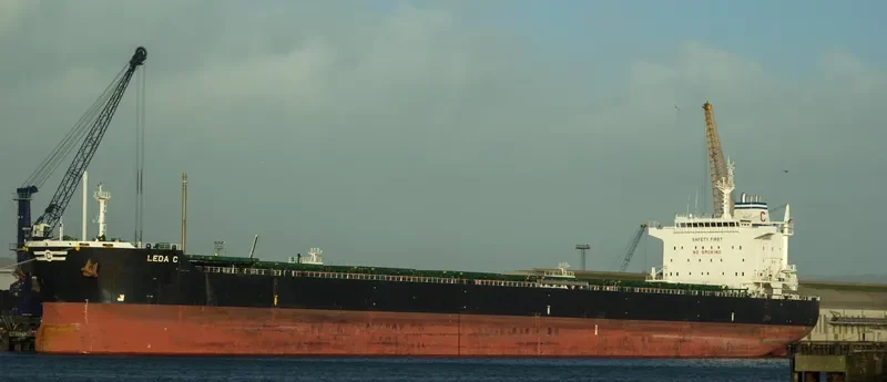LEDA C Bulk Carrier IMO 9583768 photo 6