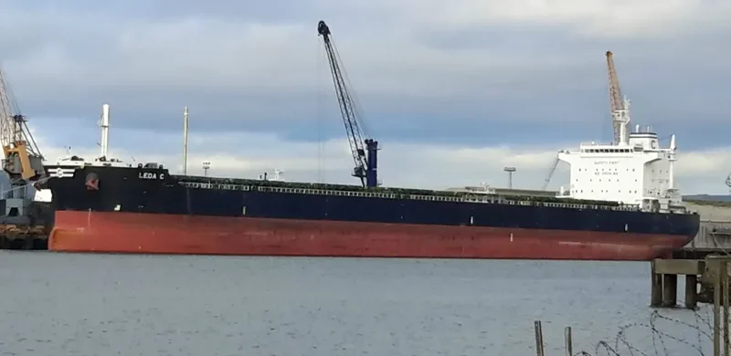 LEDA C Bulk Carrier IMO 9583768 photo 7
