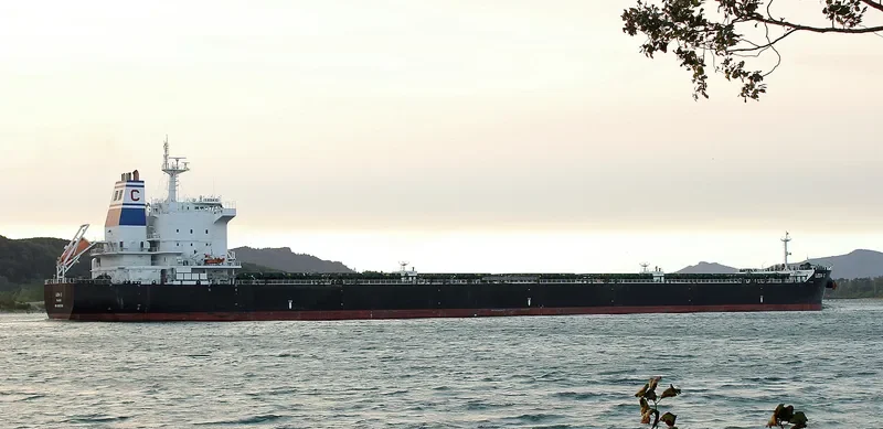 LEDA C Bulk Carrier IMO 9583768 photo 8