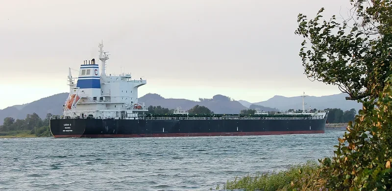 LEDA C Bulk Carrier IMO 9583768 photo 9