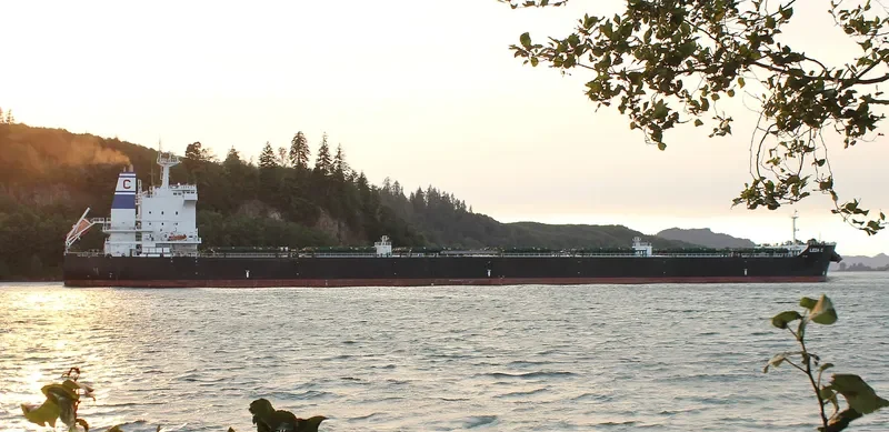 LEDA C Bulk Carrier IMO 9583768 photo 10