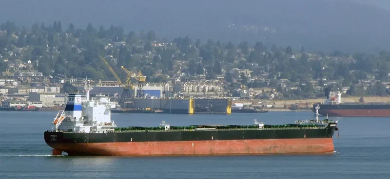 ATHANASIA C Bulk Carrier IMO 9583770 photo 10