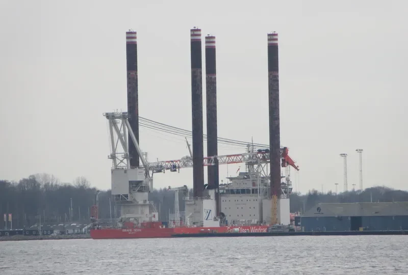 BRAVE TERN General Cargo IMO 9583782 photo 2