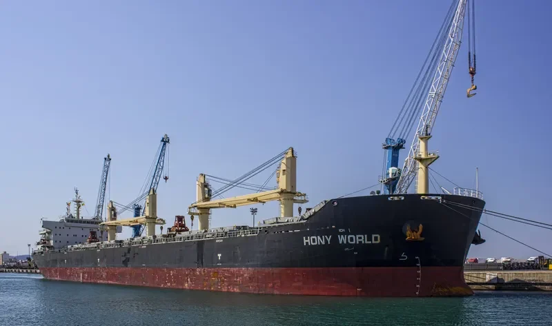 HONY WORLD Bulk Carrier IMO 9583835 photo 4