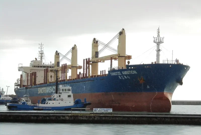 YANGTZE AMBITION Bulk Carrier IMO 9583847