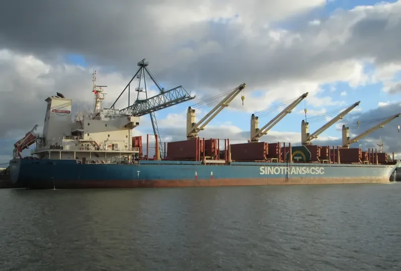 YANGTZE AMBITION Bulk Carrier IMO 9583847 photo 9