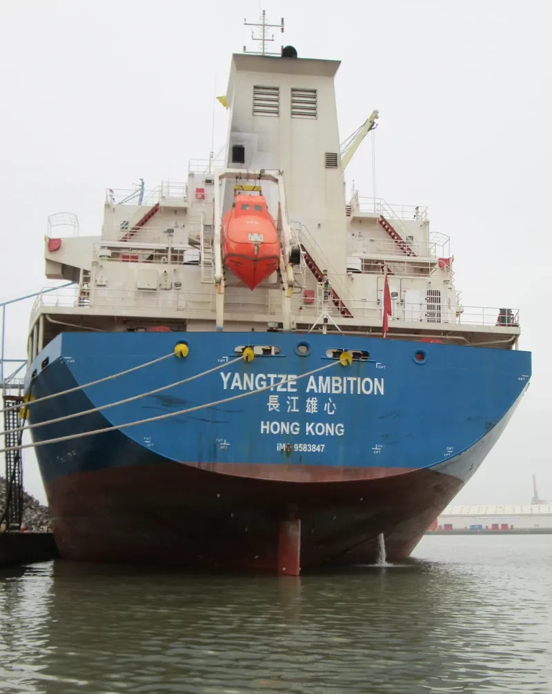 YANGTZE AMBITION Bulk Carrier IMO 9583847 photo 10