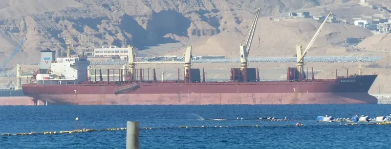 AARGAU Bulk Carrier IMO 9583897 photo 3