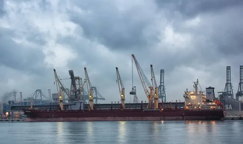 AARGAU Bulk Carrier IMO 9583897 photo 5