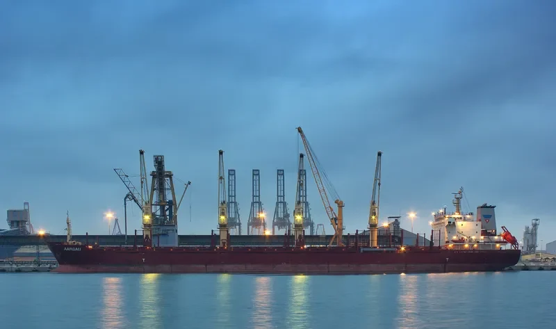 AARGAU Bulk Carrier IMO 9583897 photo 6