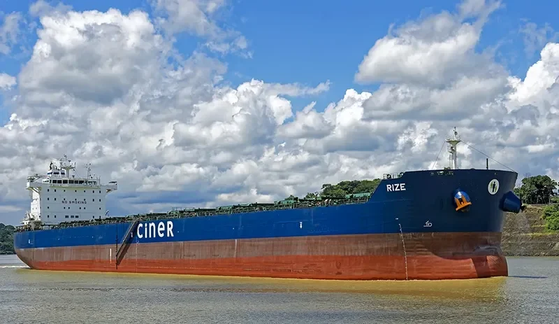 RIZE Bulk Carrier IMO 9584035