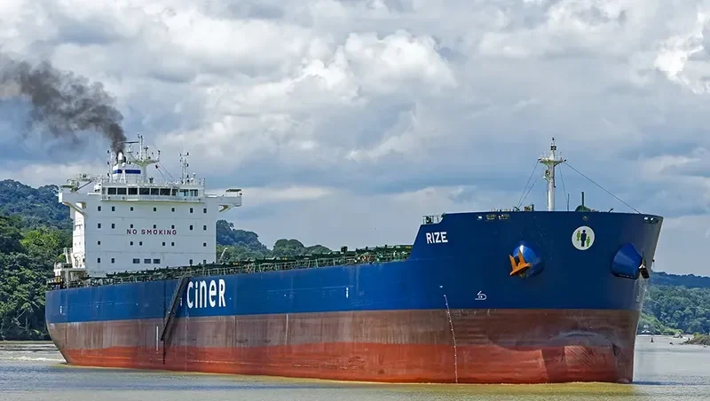RIZE Bulk Carrier IMO 9584035 photo 2
