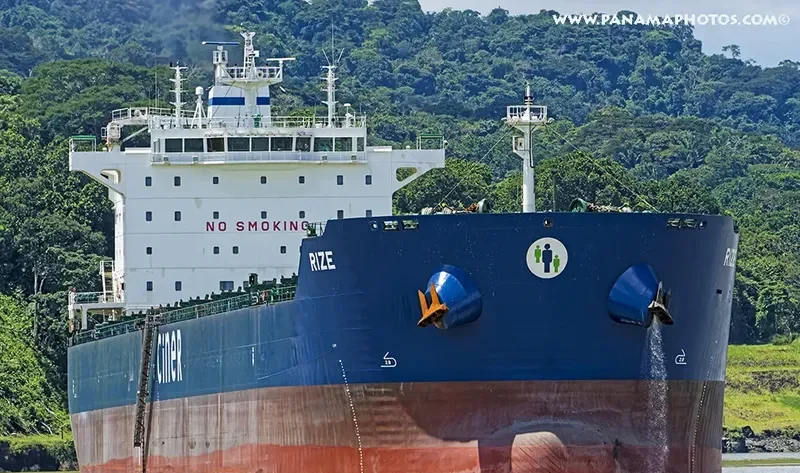RIZE Bulk Carrier IMO 9584035 photo 3
