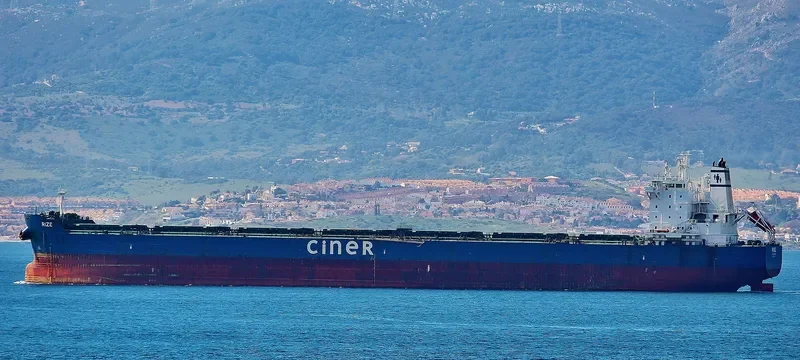 RIZE Bulk Carrier IMO 9584035 photo 7