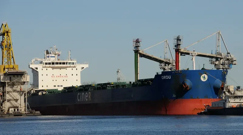 ORDU Bulk Carrier IMO 9584047 photo 6