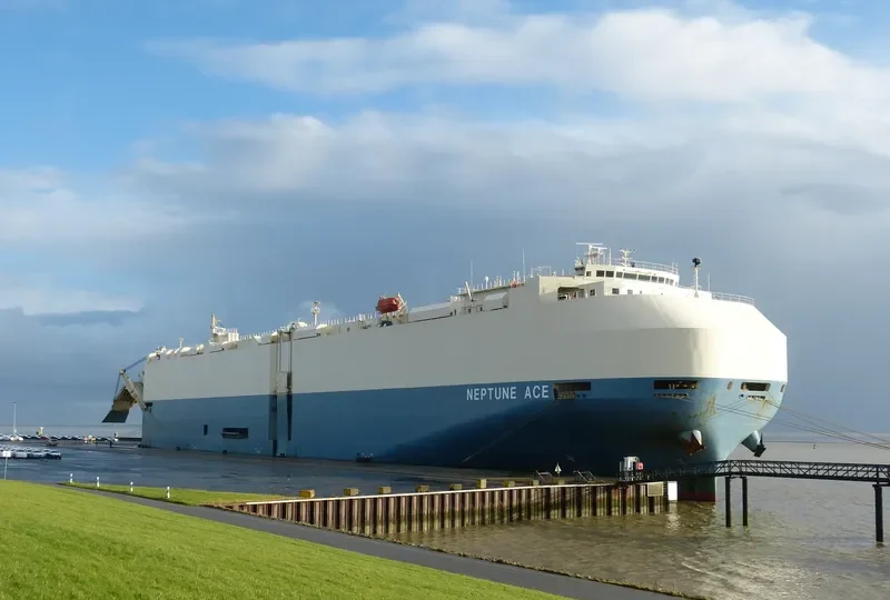 NEPTUNE ACE General Cargo IMO 9584059