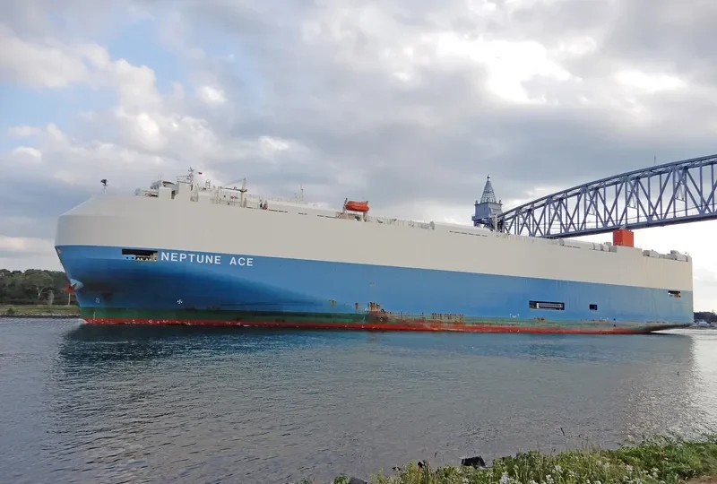 NEPTUNE ACE General Cargo IMO 9584059 photo 6