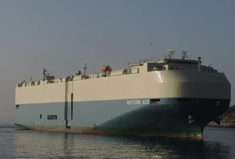 NEPTUNE ACE General Cargo IMO 9584059 photo 8