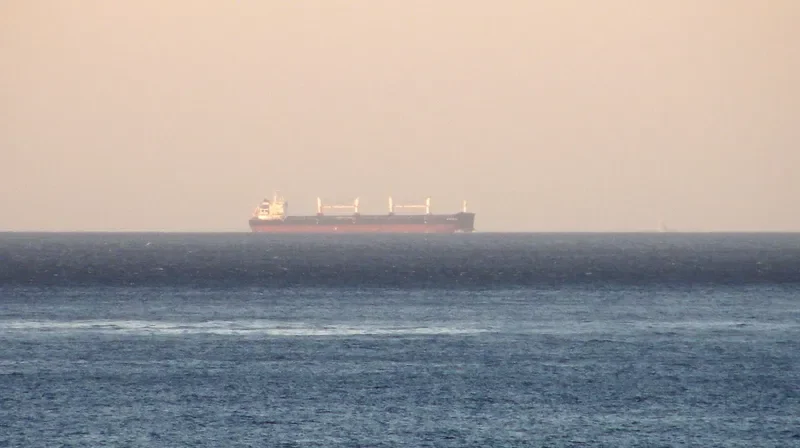 ALMYROS Bulk Carrier IMO 9584138 photo 5