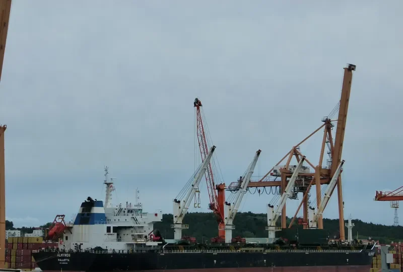 ALMYROS Bulk Carrier IMO 9584138 photo 8