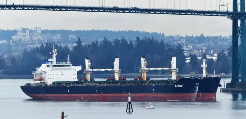 AGRIA Bulk Carrier IMO 9584140 photo 3