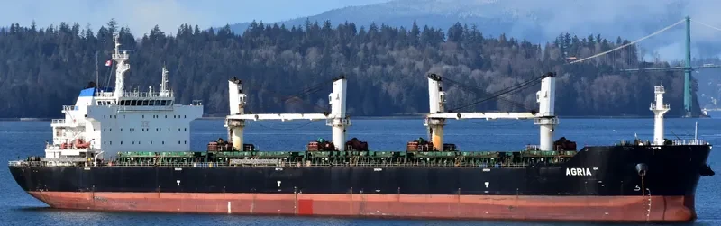 AGRIA Bulk Carrier IMO 9584140 photo 4