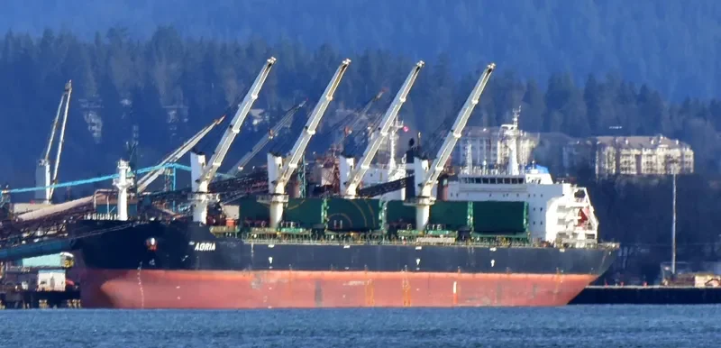AGRIA Bulk Carrier IMO 9584140 photo 5