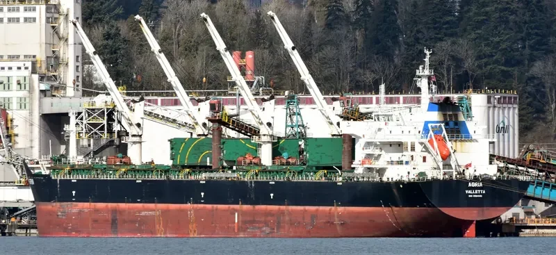 AGRIA Bulk Carrier IMO 9584140 photo 6