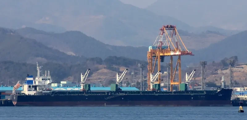 LIA Bulk Carrier IMO 9584152 photo 2