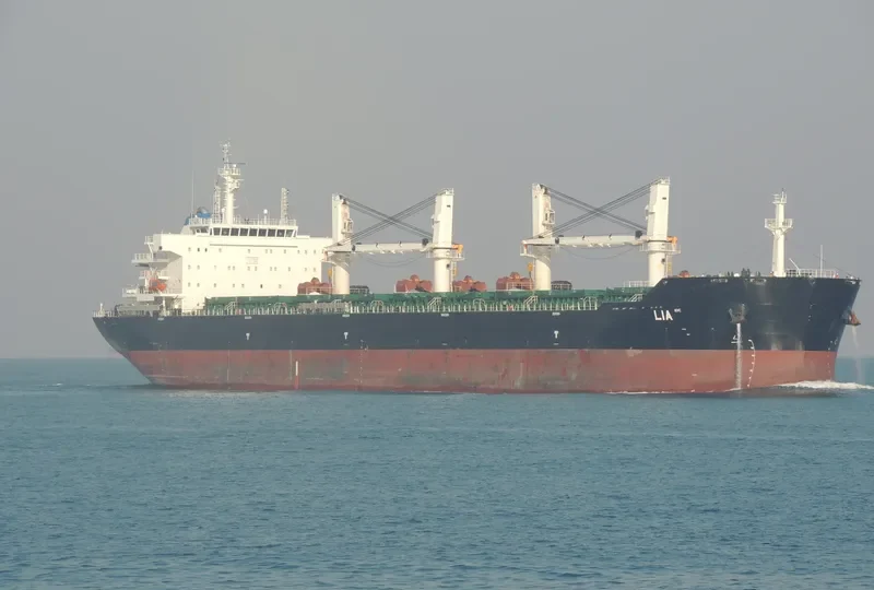 LIA Bulk Carrier IMO 9584152 photo 3
