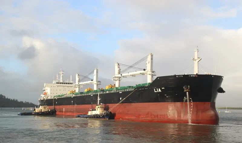 LIA Bulk Carrier IMO 9584152 photo 5