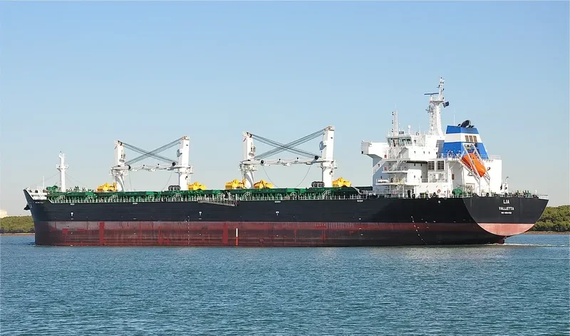 LIA Bulk Carrier IMO 9584152 photo 6