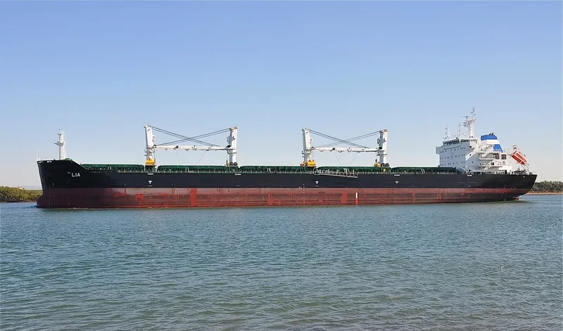 LIA Bulk Carrier IMO 9584152 photo 7