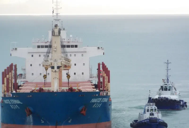 YANGTZE ETERNAL Bulk Carrier IMO 9584188 photo 3