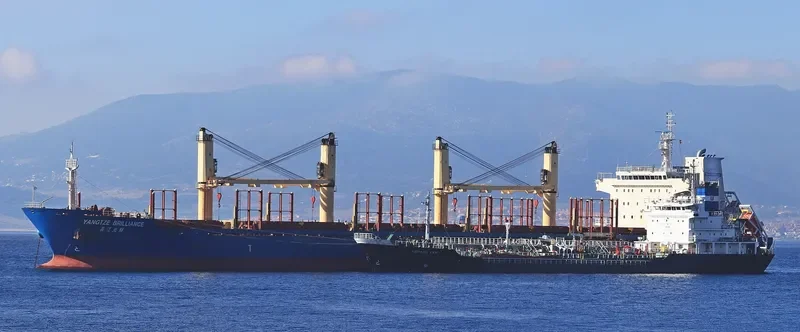 YANGTZE BRILLIANCE Bulk Carrier IMO 9584190