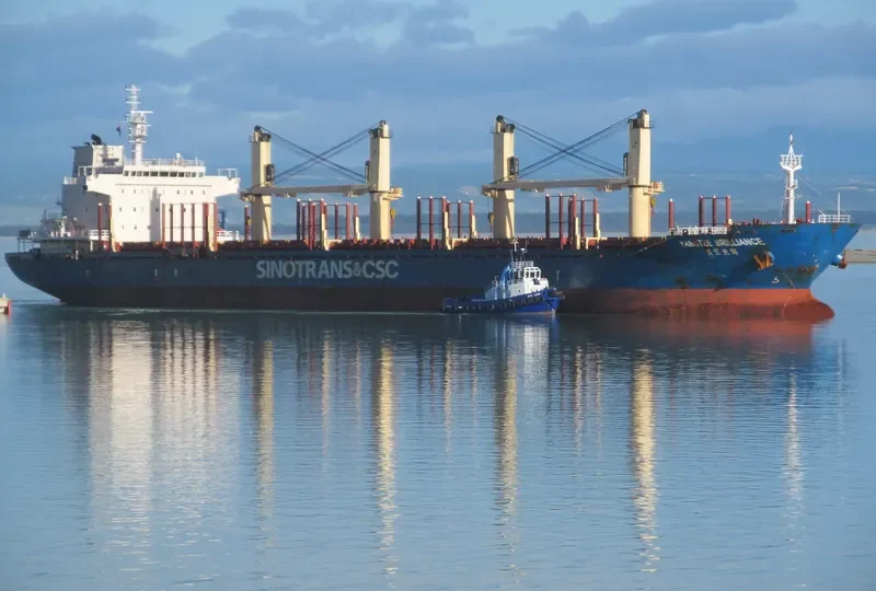 YANGTZE BRILLIANCE Bulk Carrier IMO 9584190 photo 2