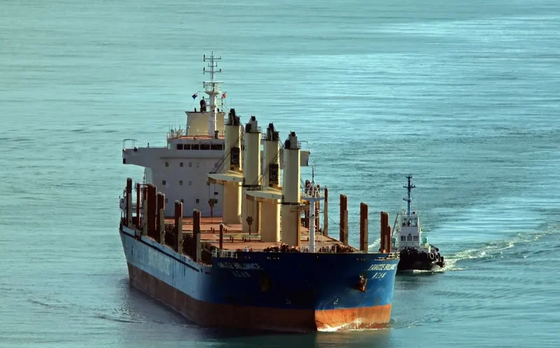 YANGTZE BRILLIANCE Bulk Carrier IMO 9584190 photo 6