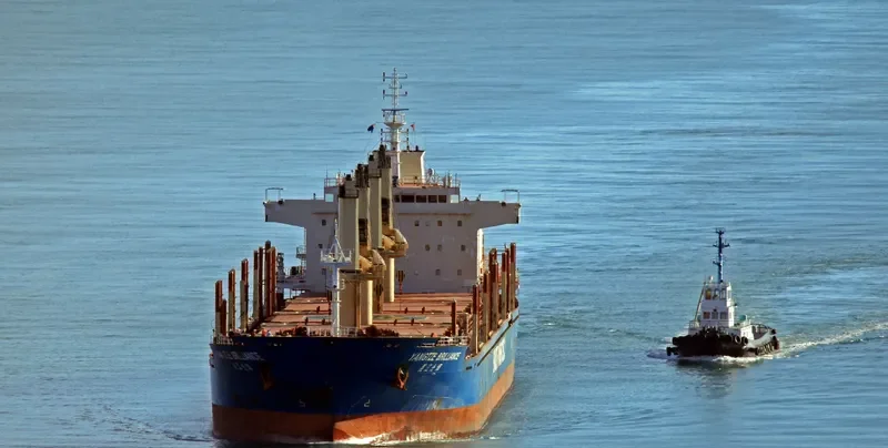 YANGTZE BRILLIANCE Bulk Carrier IMO 9584190 photo 7