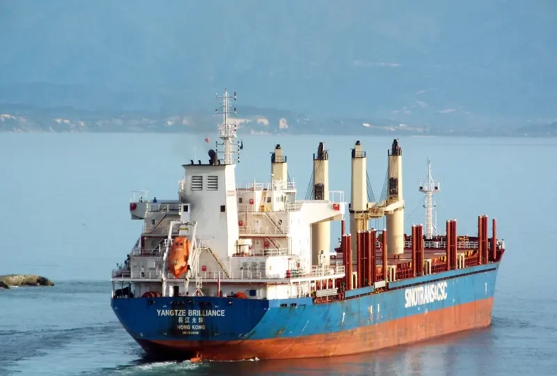 YANGTZE BRILLIANCE Bulk Carrier IMO 9584190 photo 9