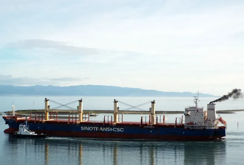 YANGTZE BRILLIANCE Bulk Carrier IMO 9584190 photo 10