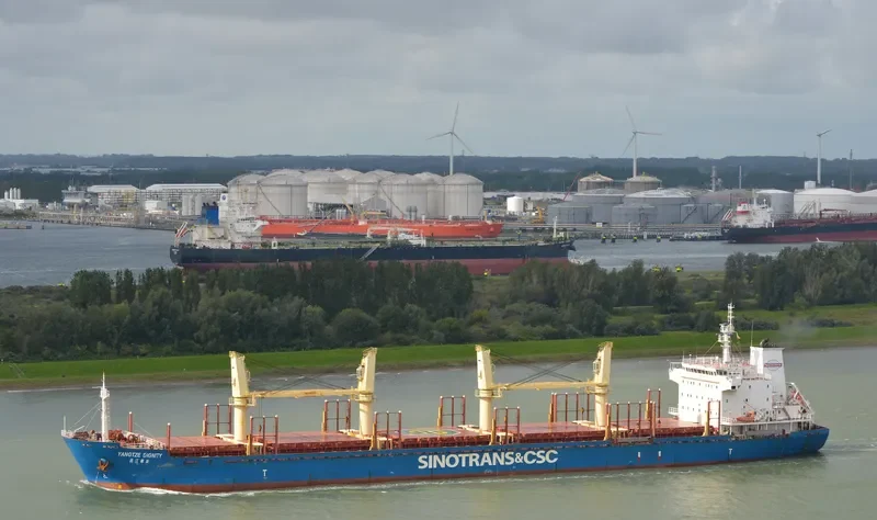 YANGTZE DIGNITY Bulk Carrier IMO 9584217 photo 4