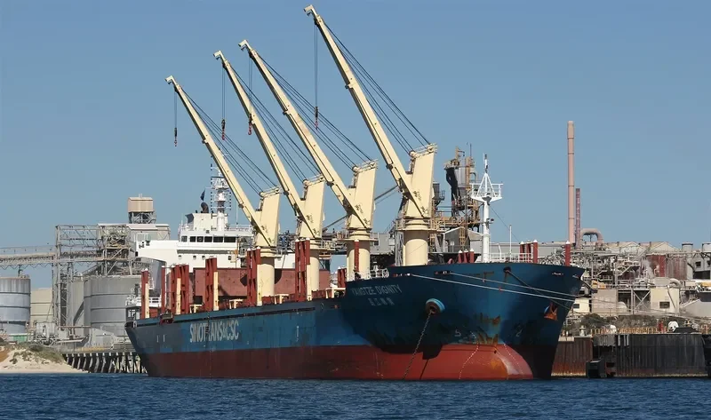 YANGTZE DIGNITY Bulk Carrier IMO 9584217 photo 7