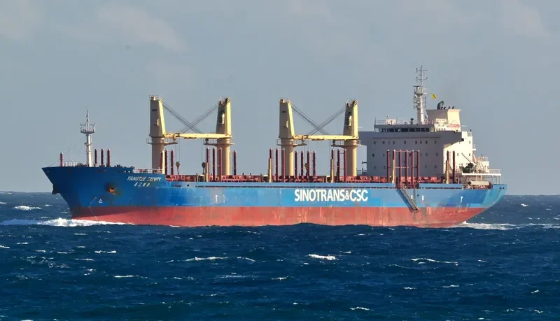 YANGTZE DIGNITY Bulk Carrier IMO 9584217 photo 9