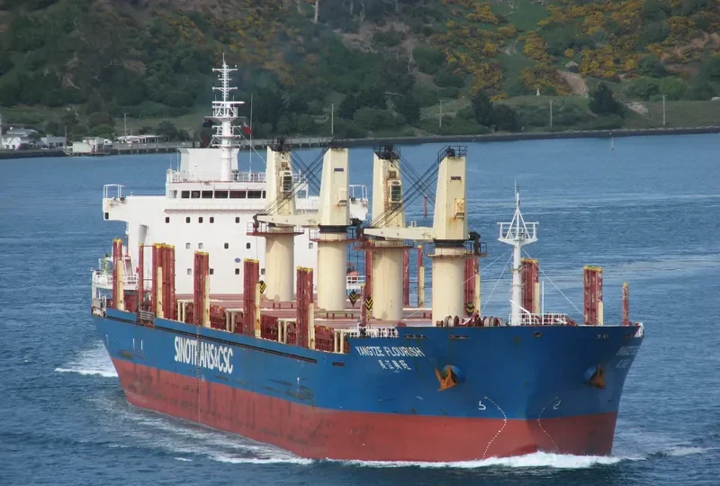 YANGTZE FLOURISH Bulk Carrier IMO 9584229 photo 3