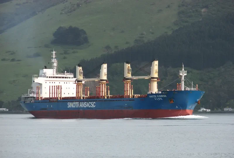 YANGTZE FLOURISH Bulk Carrier IMO 9584229 photo 4