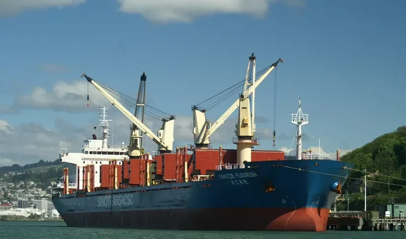 YANGTZE FLOURISH Bulk Carrier IMO 9584229 photo 6