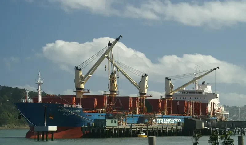 YANGTZE FLOURISH Bulk Carrier IMO 9584229 photo 7
