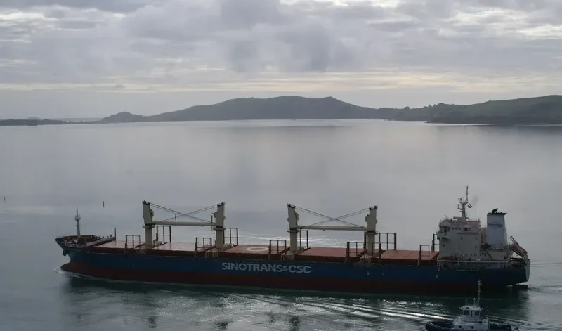 YANGTZE FLOURISH Bulk Carrier IMO 9584229 photo 9