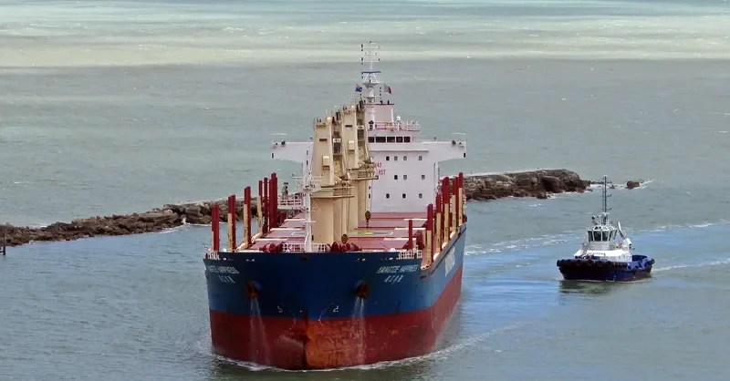 YANGTZE HAPPINESS Bulk Carrier IMO 9584243 photo 4