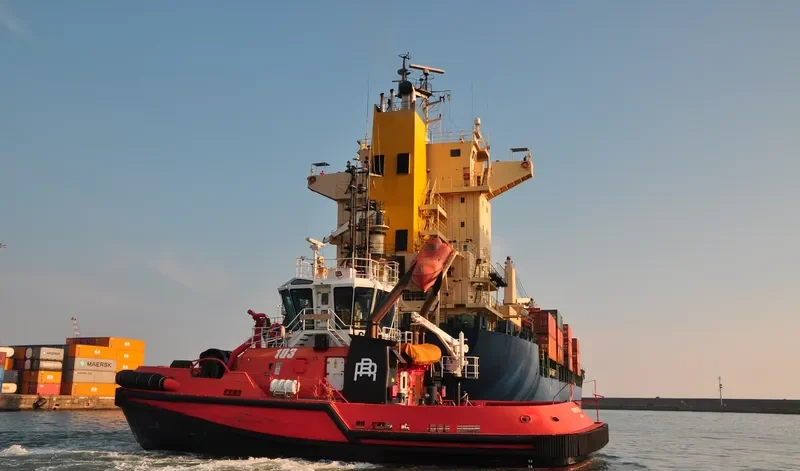 NORVEGIA General Cargo IMO 9584255 photo 2